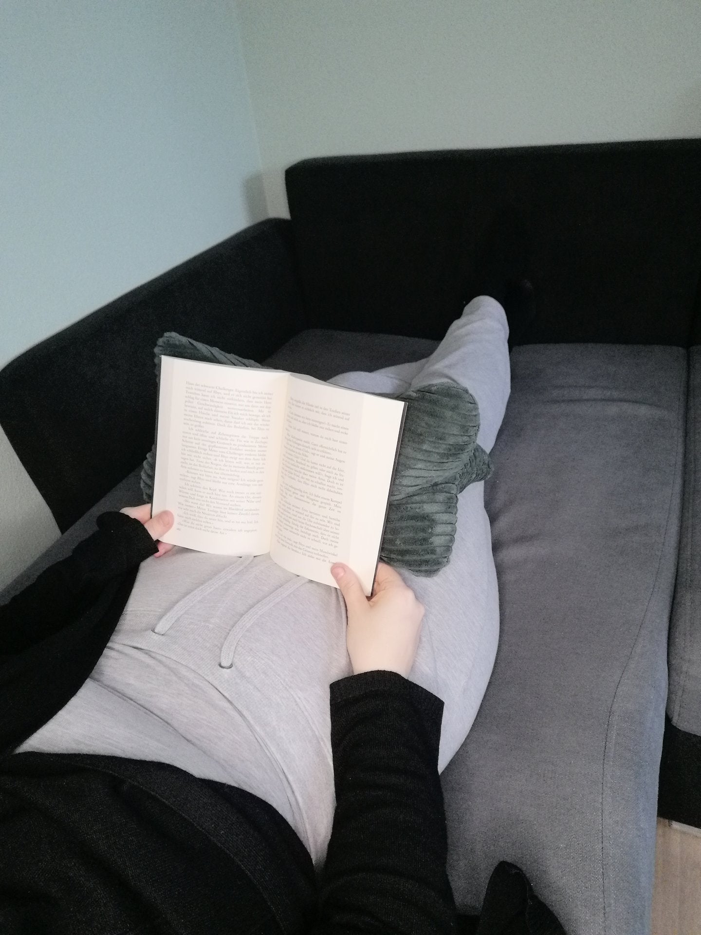 Leseknochen